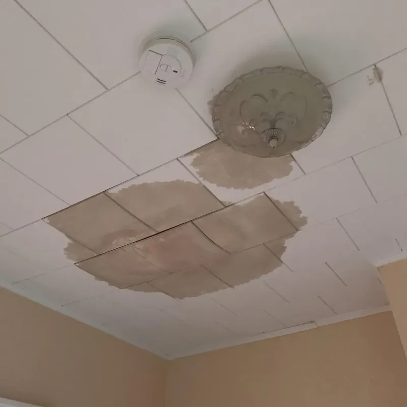 Ceiling Water Damage Repair in Emory, TX