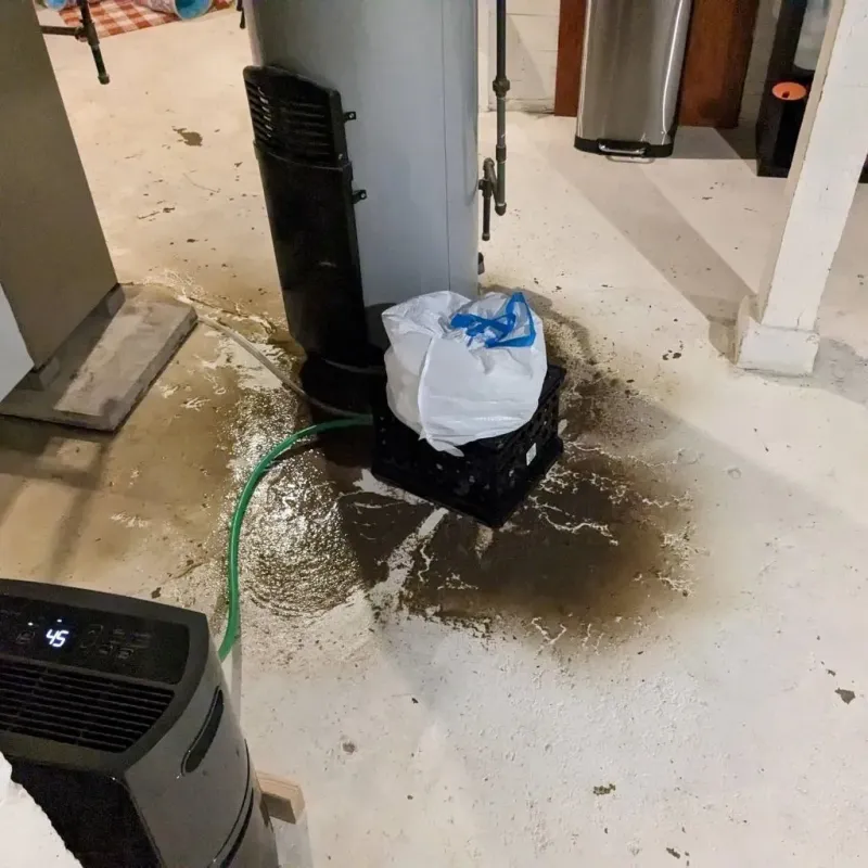Sewage Backup Cleanup Service in Emory, TX